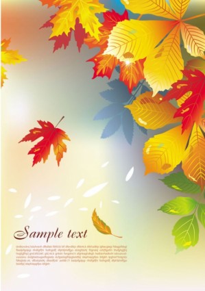 beautiful Maple Leaf Hintergrund Vektor