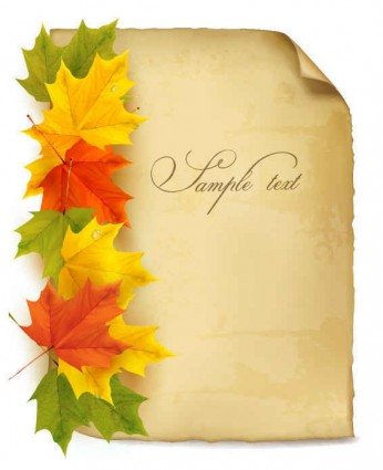 Beautiful Maple Leaf Background Vector001