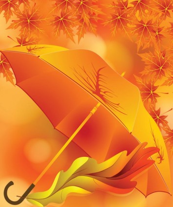 piękny klon liść parasol wektor