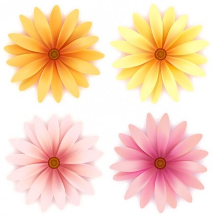 Beautiful Small Flowers Vector