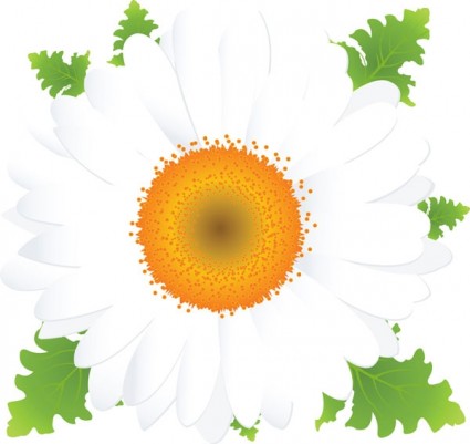 Beautiful Small Flowers Vector