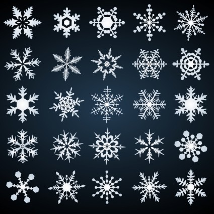 wunderschöne Schneeflocke Muster Vektor