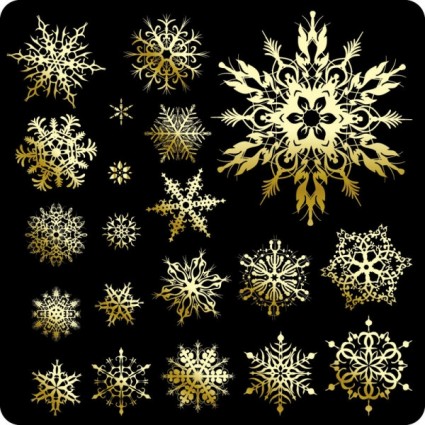 美しい雪の結晶パターン ベクトル