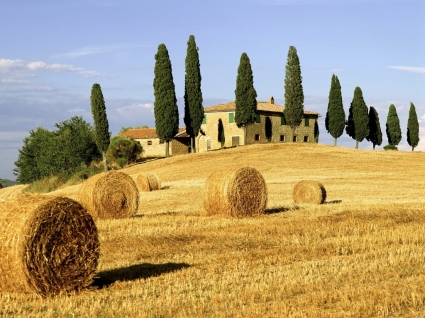 monde merveilleux de l'Italie du papier peint Toscane