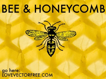 Pszczoła i o strukturze plastra miodu