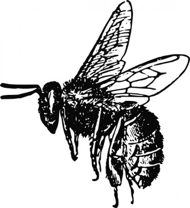 clip art de abeja