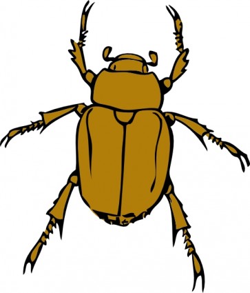 甲蟲 bug 剪貼畫