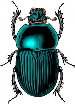 kumbang bug clip art