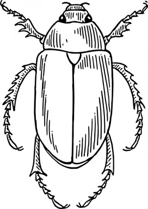 scarabeo ClipArt