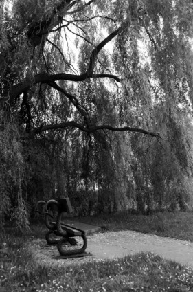 Sitzbank und Baum