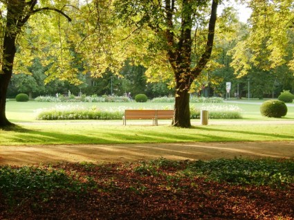 panchina in un parco