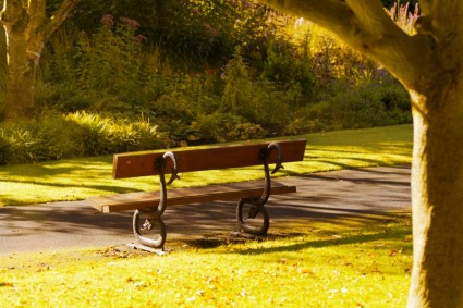 Bench In The Morning