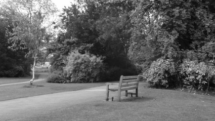 公園のベンチで