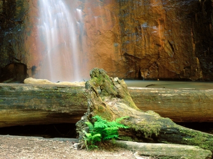 Берри Крик падает Обои водопады природы