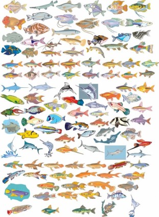 koleksi besar vektor ikan yang berbeda