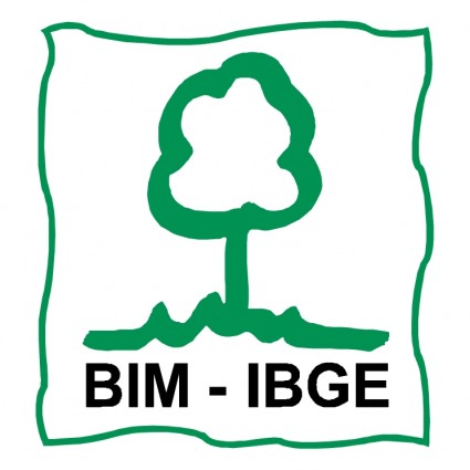巴西地理統計局 bim