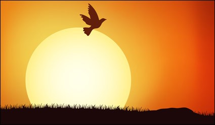 oiseaux au coucher du soleil