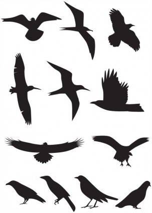 vettoriale silhouette degli uccelli