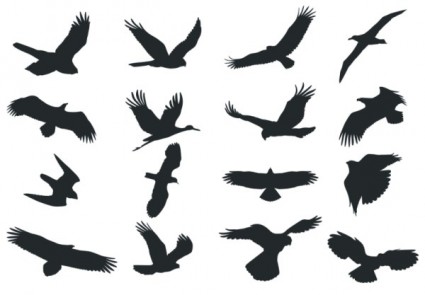 burung silhouette vector