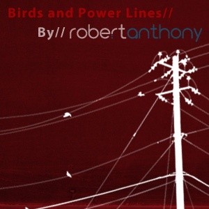 鸟类和电源线