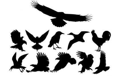 silhouettes d'oiseaux