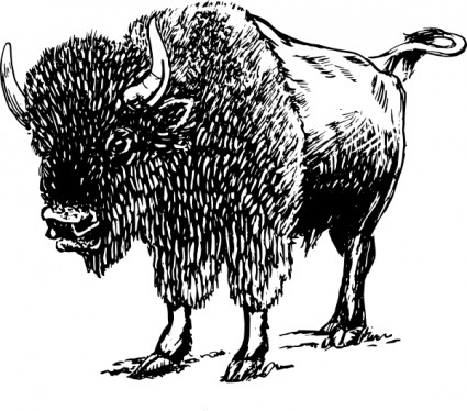 ClipArt di bisonte