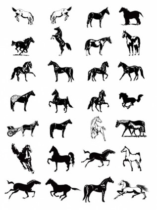 retratos da arte de grampo cavalo preto e branco