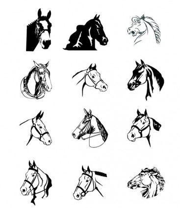 màu đen và trắng ngựa vector