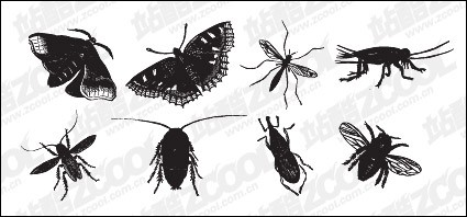bahan vektor serangga hitam dan putih