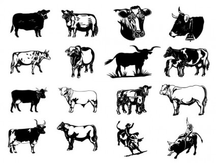 série de pinturas de preto e branco duas vaca vetor clip art fotos