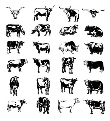 serangkaian gambar hitam dan putih dicat sapi vektor vektor