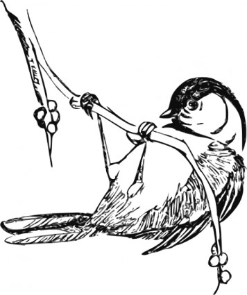 Black Capped Chickedee Clip Art