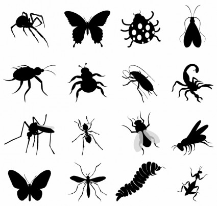 черный набор насекомых