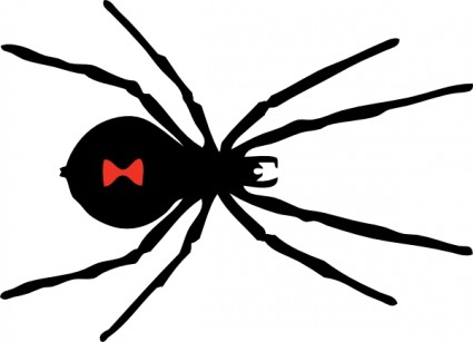 janda hitam laba-laba clip art
