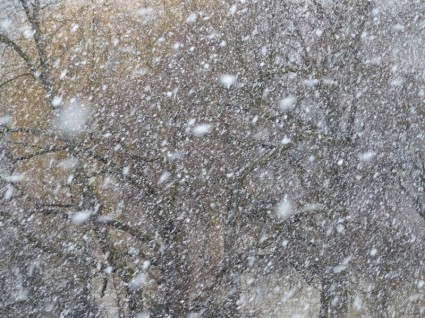flocos de neve enxurrada de neve nevão