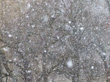 flocons de bourrasque de neige Blizzard