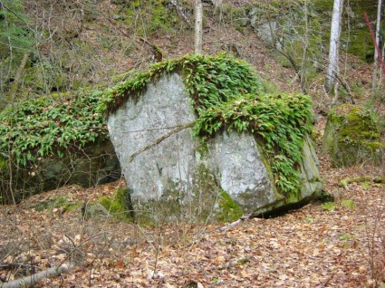 塊的岩石