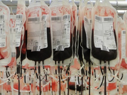 bolsas de sangre glóbulos rojas rojos