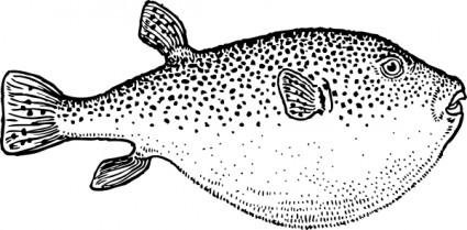 フグの魚のクリップアート