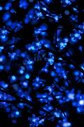 luces de Navidad azul