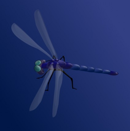 libélula azul clip art