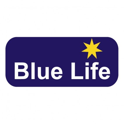 синий жизни