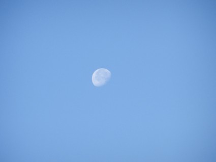 藍色的月亮