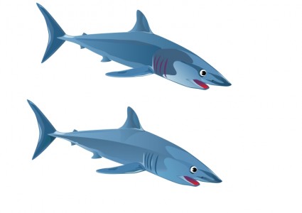 ปลาฉลามสีน้ำเงิน