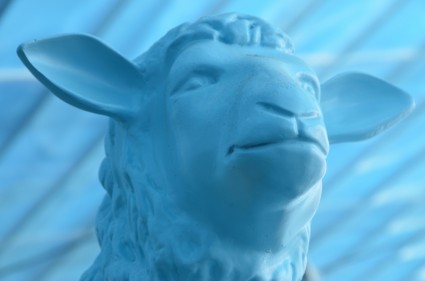 青い青い羊羊