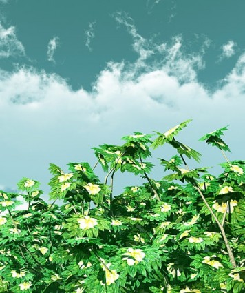 niebieski obraz nieba i roślin