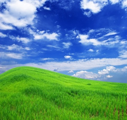 blauer Himmel Gras aus dem Gras-Goal-Bild