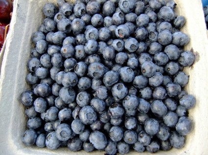 Makan buah blueberry