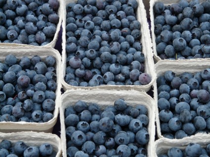 蓝莓越桔欧洲浆果