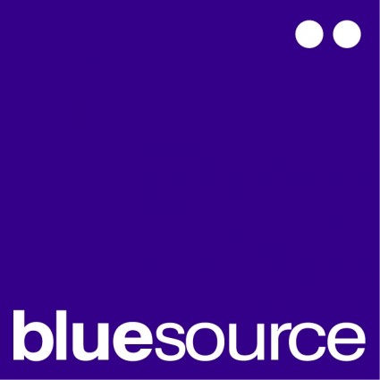 bluesource 信息有限公司